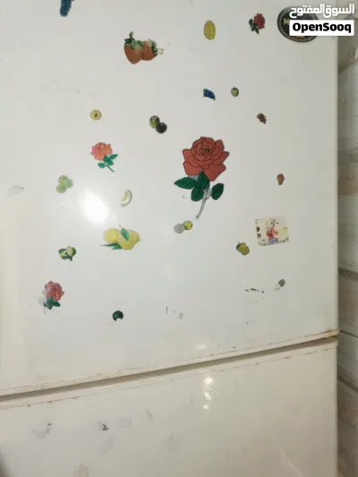 ثلاجة نوع مسترال للبيع 2