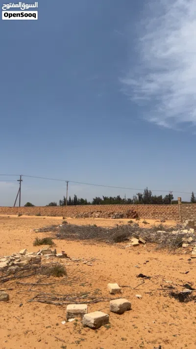 ارض للبيع وادي ربيع متلت القيو إيسار الموقع موجود الأرض مساحتها 1000 متر منطقة سكنية قريبة من جميع 3