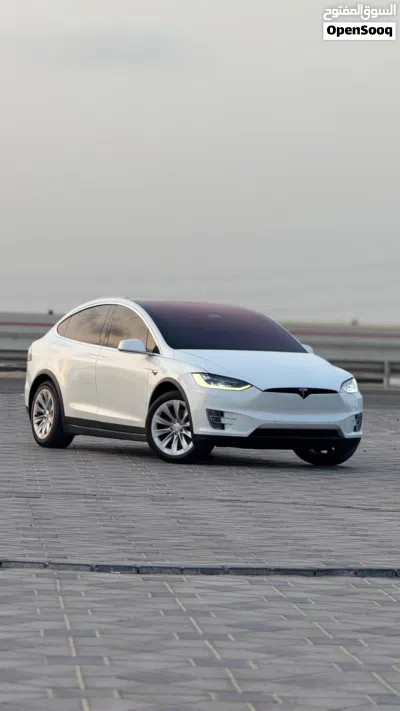Tesla Model X Long Range 2
