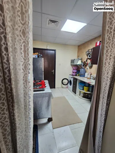 Studio Flat for rent in Ajman Jurf for 2 months 4