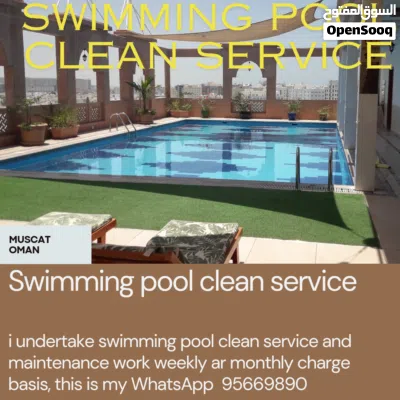 SWIMMING POOL CLEAN SERVICE 2