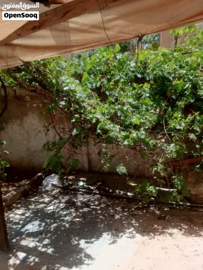 عماره استثماريه للبيع 3