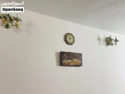 ثرية مع 2 براكيتات ايطالي 4
