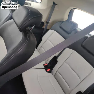 Geely Okavango GF Premium 3