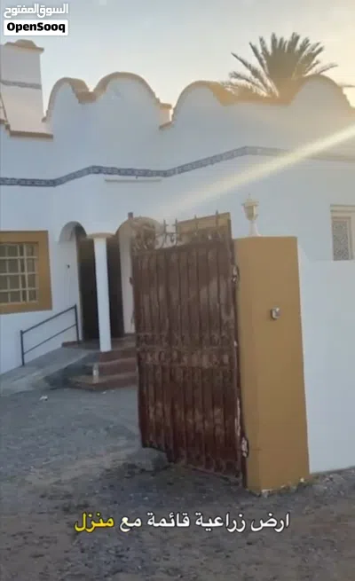 للبيع ارض زراعيه بها منزل قايم مربع القريحه مساحه الأرض 4500 مساحه البناء 250 تصلح لعمل استراحه 3