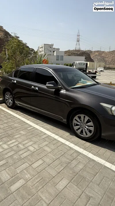 Honda Accord EX-L 3