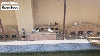 undefined 2