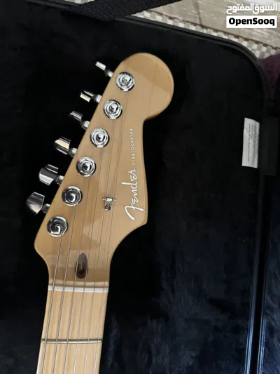 Fender American Deluxe Stratocaster Select Alder Rare Color 3