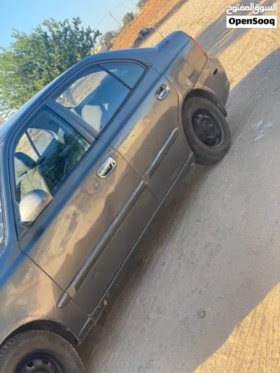 Hyundai Verna EX 4