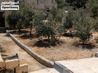 بيت مستقل مع حديقة وأشجار مثمرة للبيع 4