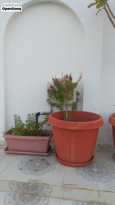 undefined 2