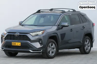Toyota RAV 4 XLE 4