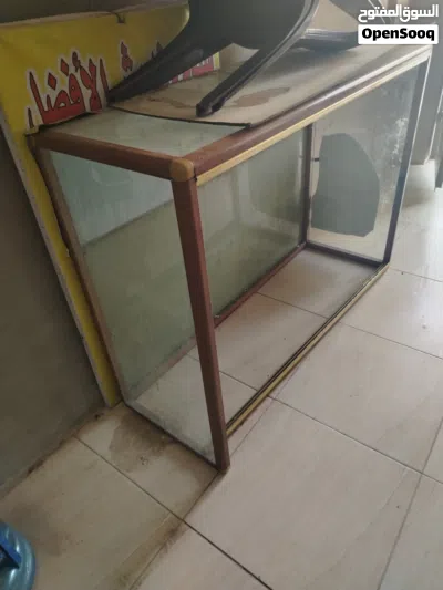 undefined 3