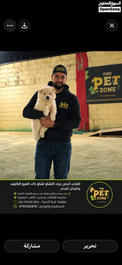 تشاوتشاو ذكر بسعر مغري جدا مع جميع المطاعيم اللازمه وجرعه الدود ومايكروشيب 2