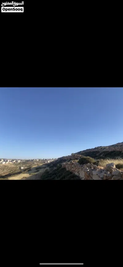 977 متر المنشية مراح رباح طابو كوشان 2