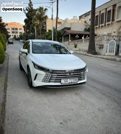 BYD Destroyer 05 3