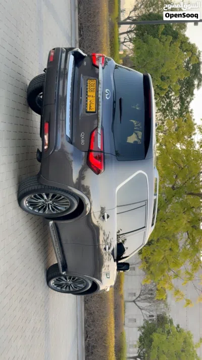 Infiniti QX80 Premium 3