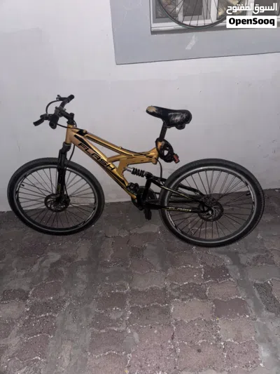 Flash Cycle for urgent sale 2