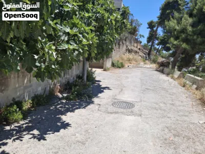 عمارة للبيع على شارعين قريبة من جامعة الامير حسين الجديدة تبعد 5 دقائق مشي 3