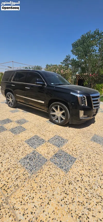 Cadillac Escalade Premium 2