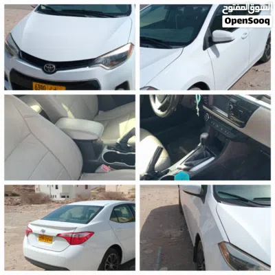 Toyota Corolla LE 3