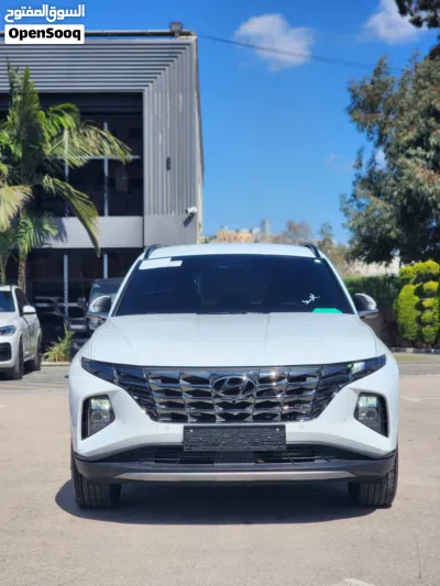Hyundai Tucson Standard 2
