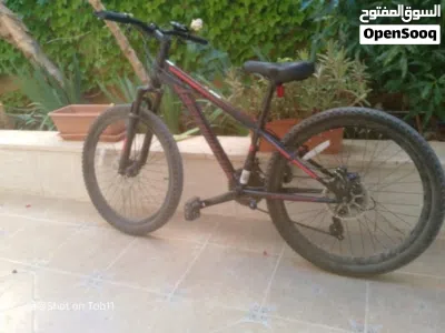 Schwinn Mountine bike 2
