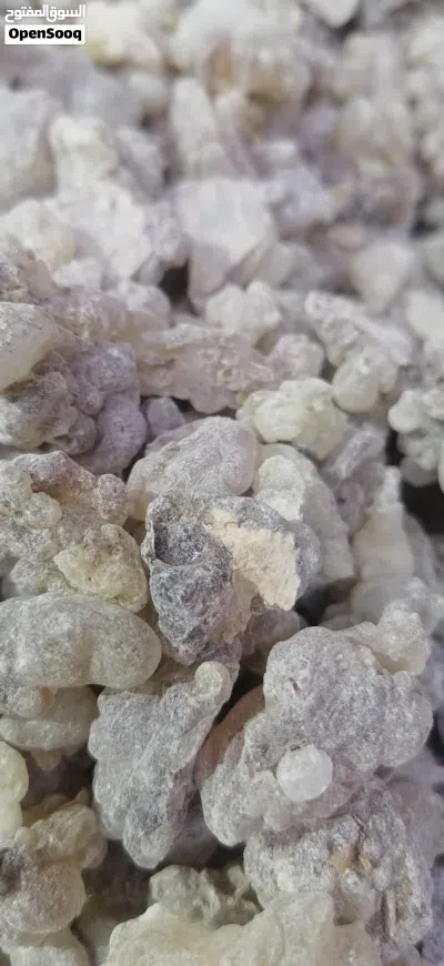 لبان حوجري للبخور ذو الريحه الزكيه عالي الجوده والسعر المناسب 3