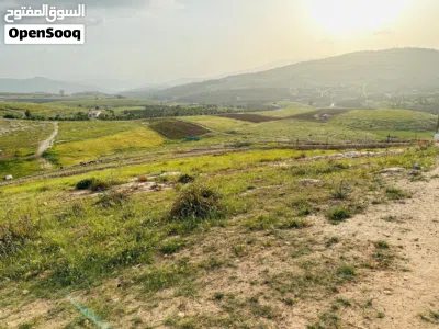 قطعه ارض للبيع في جرش عنيبه حوض الحميدي بجانب مزرعه الدكتور محمد نوح القضاه اطلاله بانوراما مستصل 3