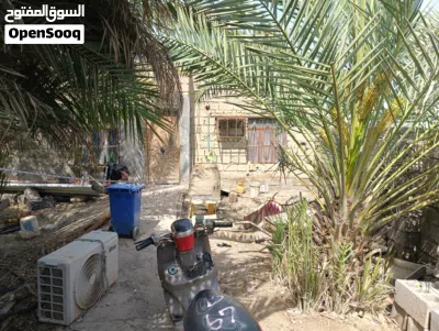 دار سكنية-فرصه استثمارية في الدير مساحة 300 متر واجهة 14 م نزال 22م منطقة هادئه زراعي 3