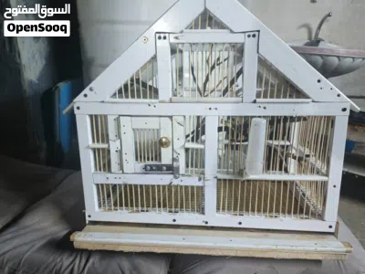 undefined 2