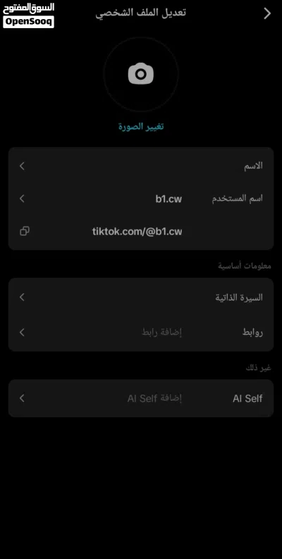 حسابات تيك توك للبيع البايو مهم 4