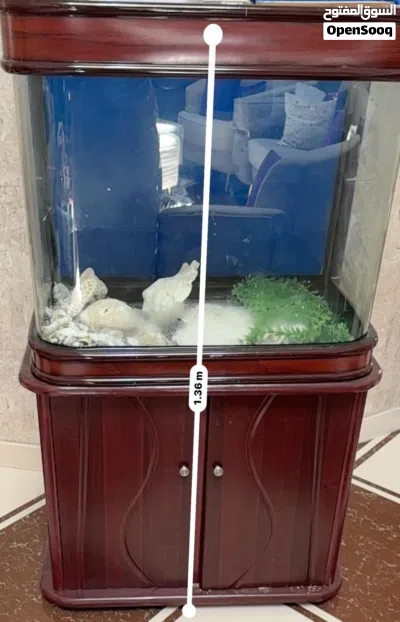 اموره طيبه 2
