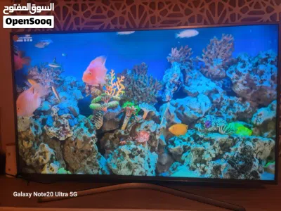undefined 3