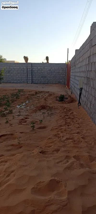 قطعة ارض الباعيش شارع الغاز 2