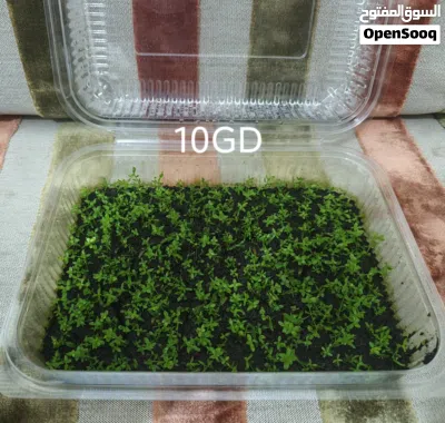 undefined 2