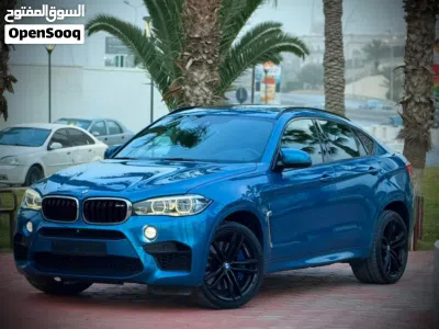 BMW X6 Series X6 M50i 4