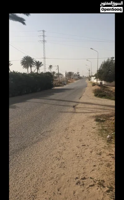6 هكتار عالقطران مباشره للبيع في الساحل طريق المشعوب 2