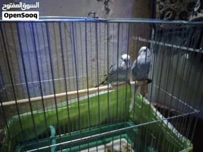 undefined 2