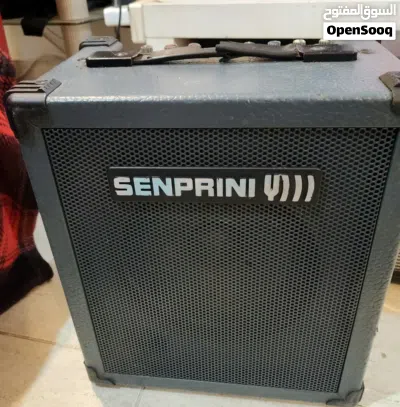 samik guitar and amlpy 4