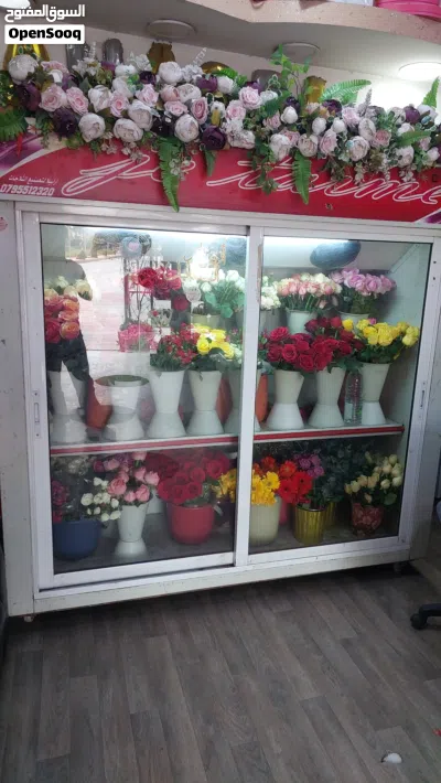undefined 2