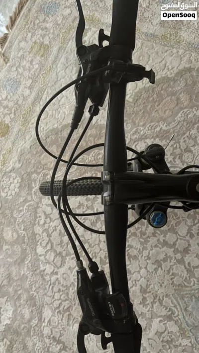 Trinx Carbon 2