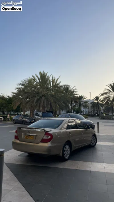 Toyota Camry XLE 4