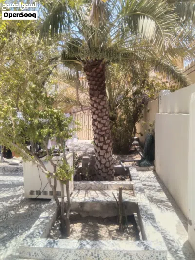 فرصه للبيع منزل في سمائل منطقة الغبره للجاد ما اقصر معه ابدا 3