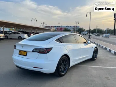 تيسلا موديل 3 Standard Plus 2