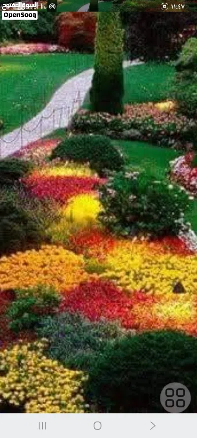 هنقر مساحته 400متر صناعه او مخزن عادي عين زاره الحمودات كزيوني 2