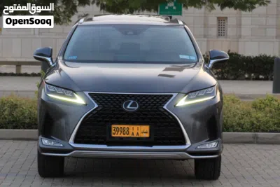 Lexus RX RX 350 Luxury 3