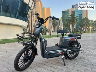 دراجة كهربائية E-MOB موديل 2025 4