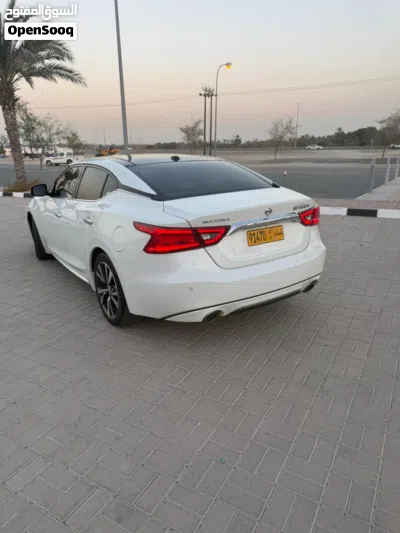 Nissan Maxima SV 4