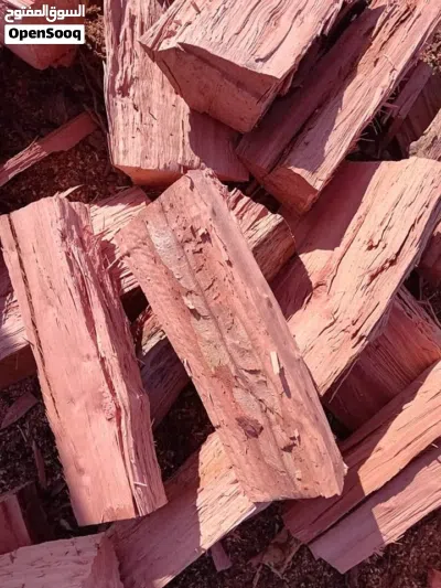 جميع انواع الحطب ناشف وقص الشجار عالي وشراء جميع الحطب 4